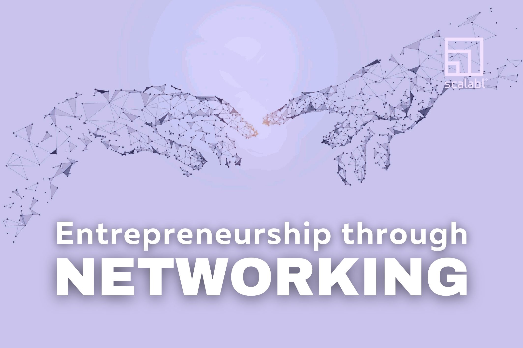 Entrepreneurship through Networking